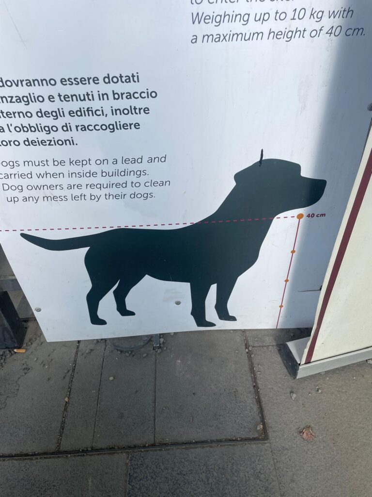 honden in Pompeii