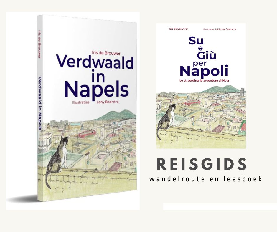 Verdwaald in Napels cover